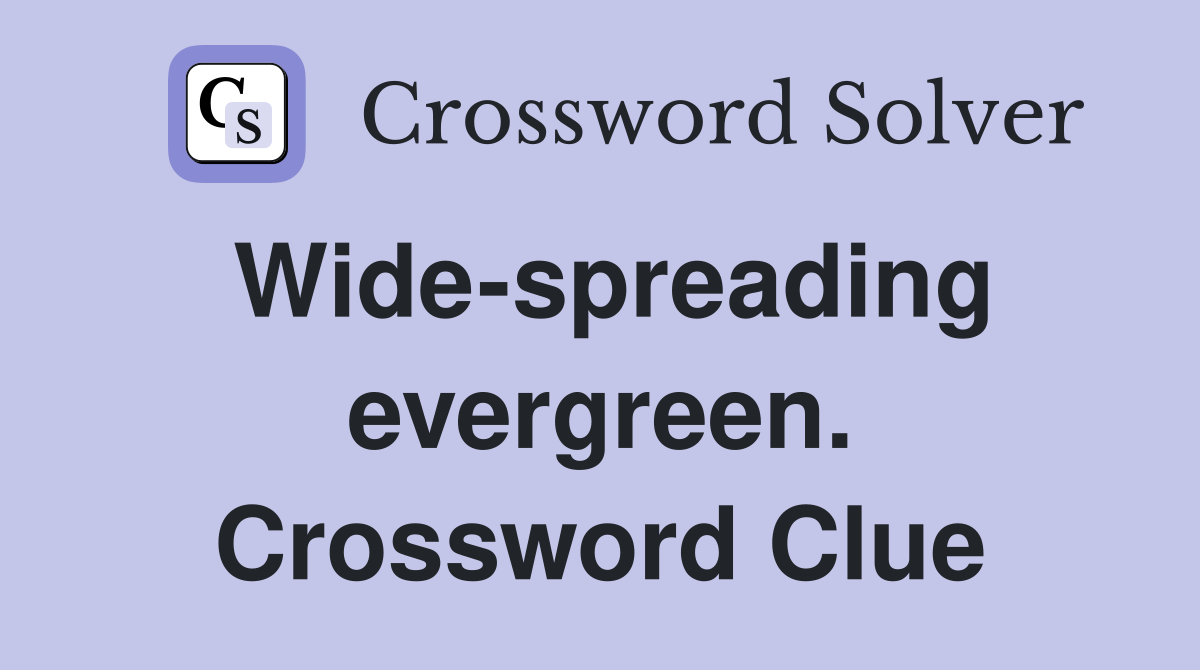 Wide-spreading evergreen. Crossword Clue