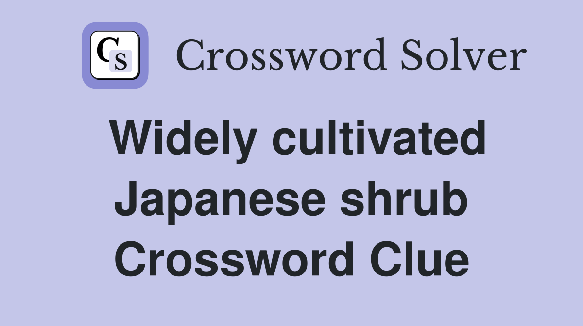 Widely cultivated Japanese shrub Crossword Clue