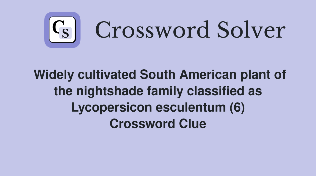 Widely cultivated South American plant of the nightshade family classified as Lycopersicon esculentum (6) Crossword Clue