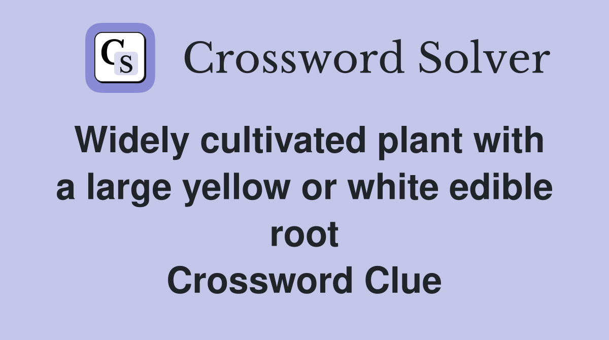 Widely cultivated plant with a large yellow or white edible root Crossword Clue