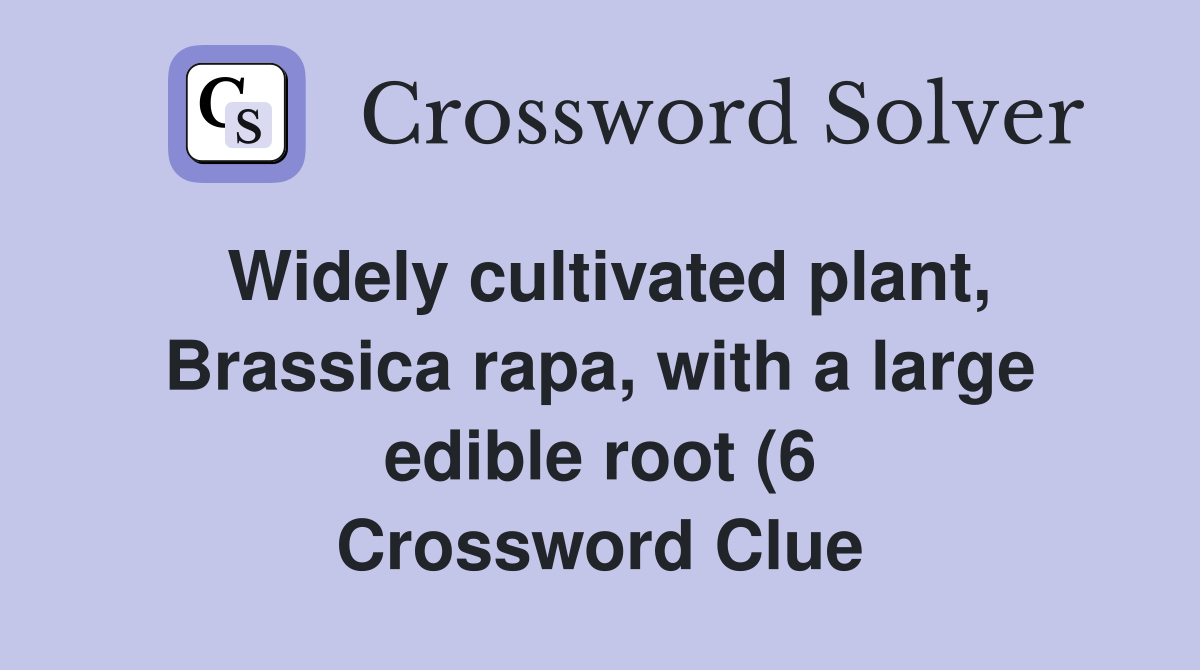 Widely cultivated plant Brassica rapa with a large edible root (6 Widely cultivated plant Brassica rapa with a large edible root (6