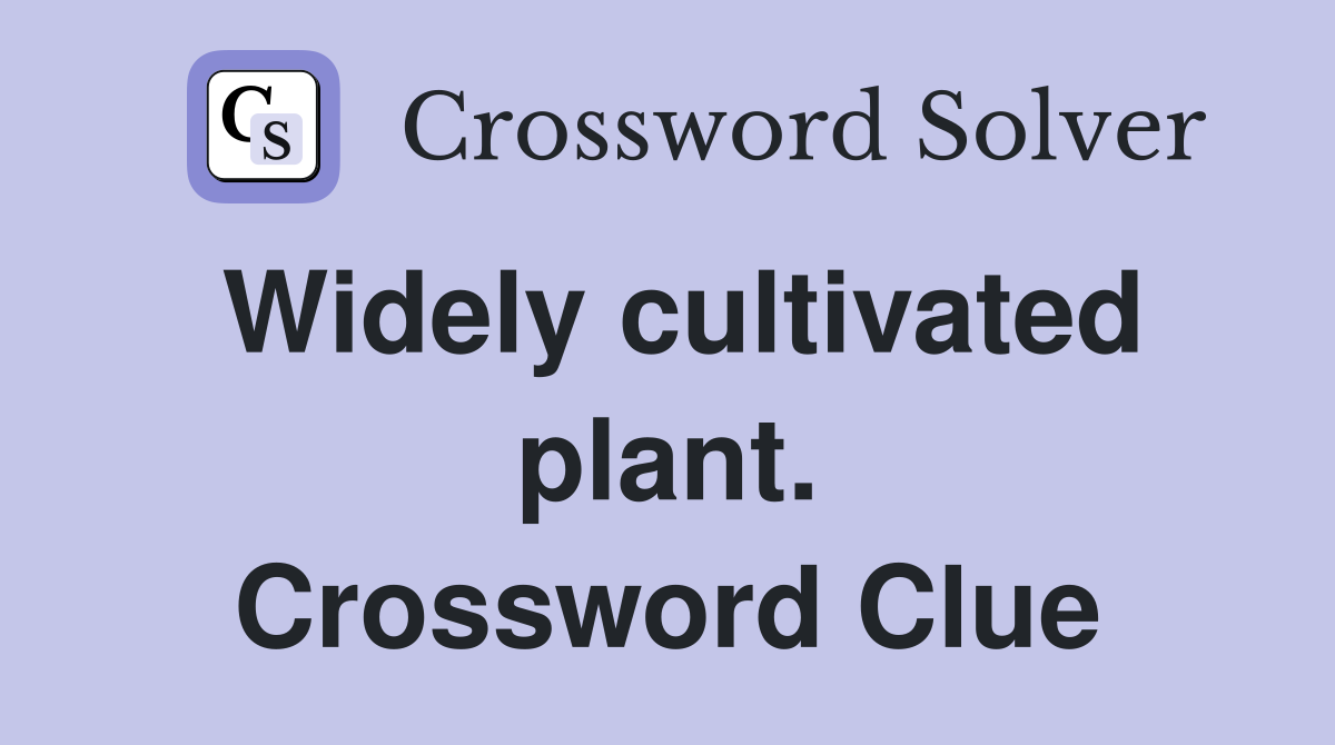 Widely cultivated plant. Crossword Clue