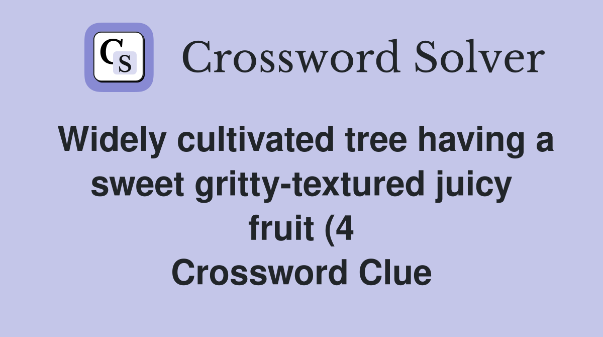 Widely cultivated tree having a sweet gritty textured juicy fruit (4 Widely cultivated tree having a sweet gritty textured juicy fruit (4