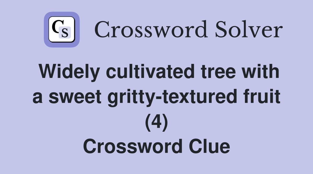 Widely cultivated tree with a sweet gritty-textured fruit (4) Crossword Clue