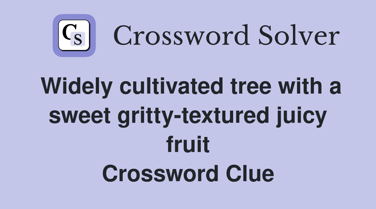 Widely cultivated tree with a sweet gritty-textured juicy fruit Crossword Clue