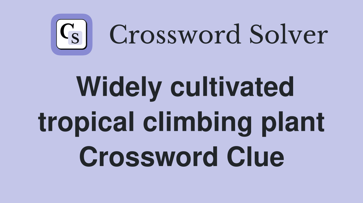 Widely cultivated tropical climbing plant Crossword Clue