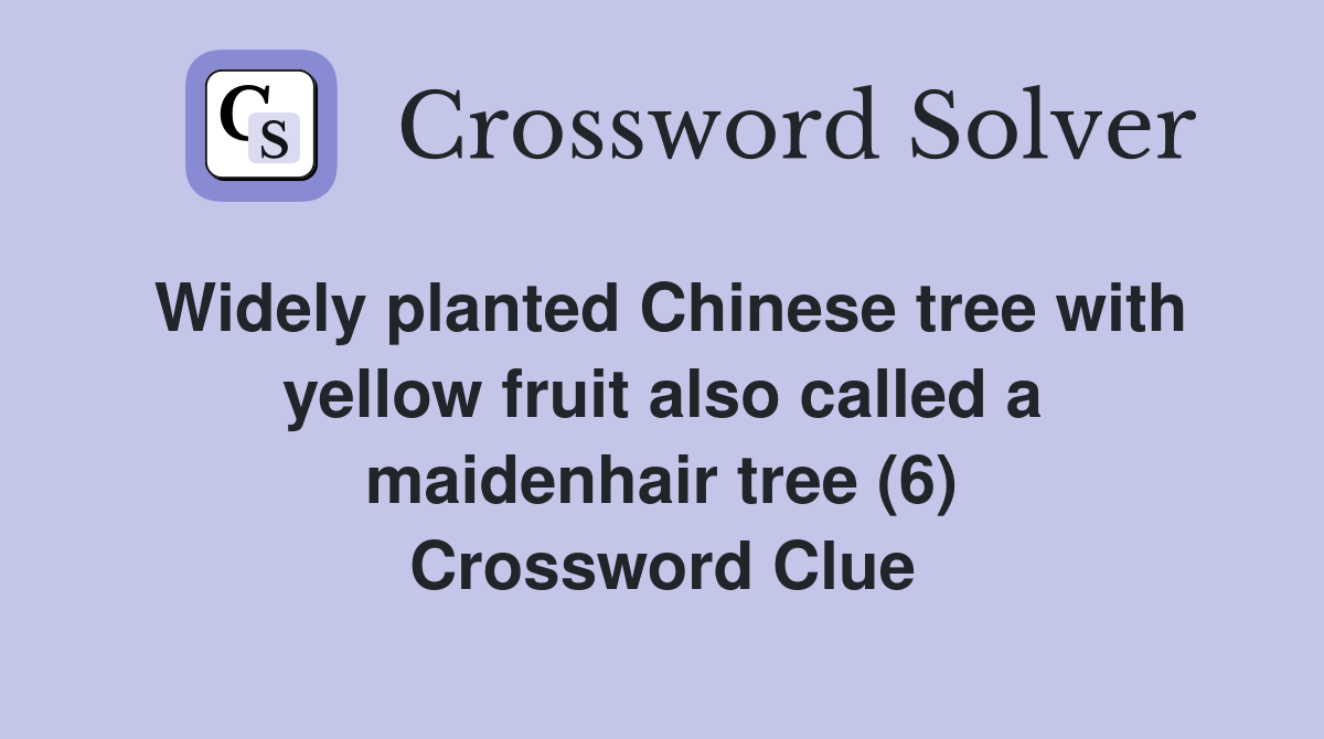 Widely planted Chinese tree with yellow fruit also called a maidenhair tree (6) Crossword Clue