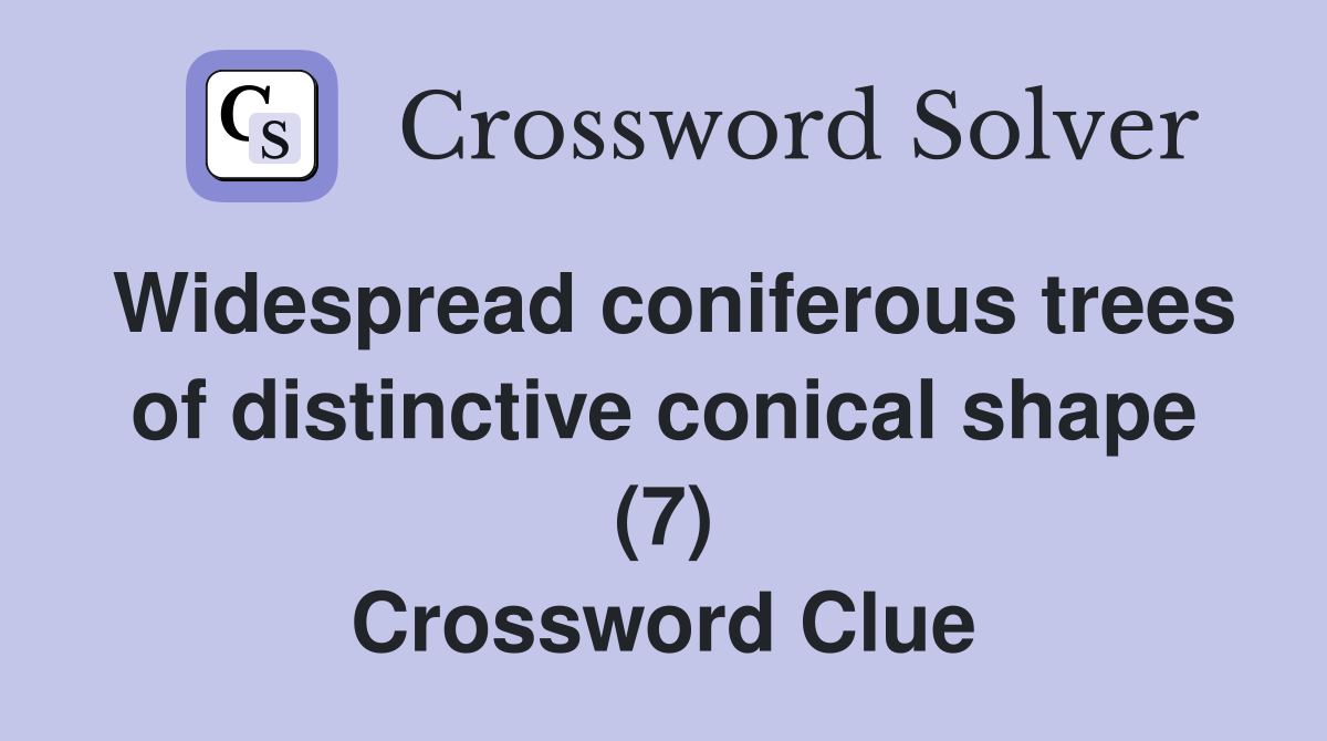 Widespread coniferous trees of distinctive conical shape (7) Crossword Clue