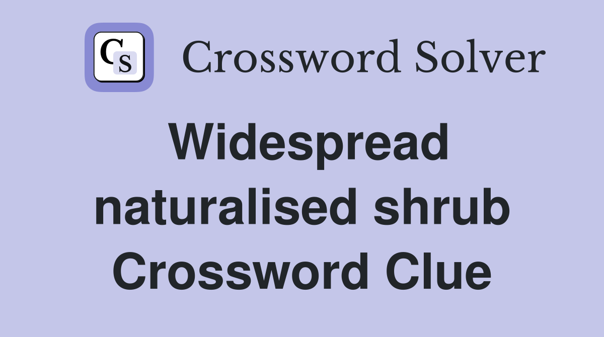 Widespread naturalised shrub Crossword Clue