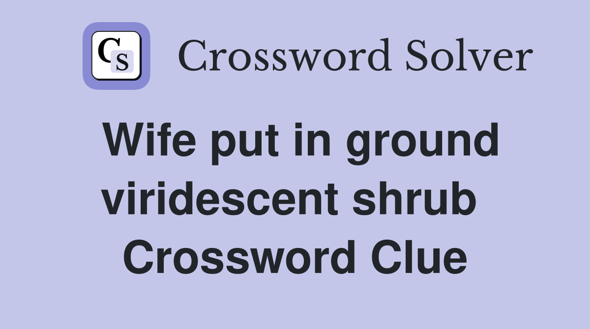 Wife put in ground viridescent shrub  Crossword Clue