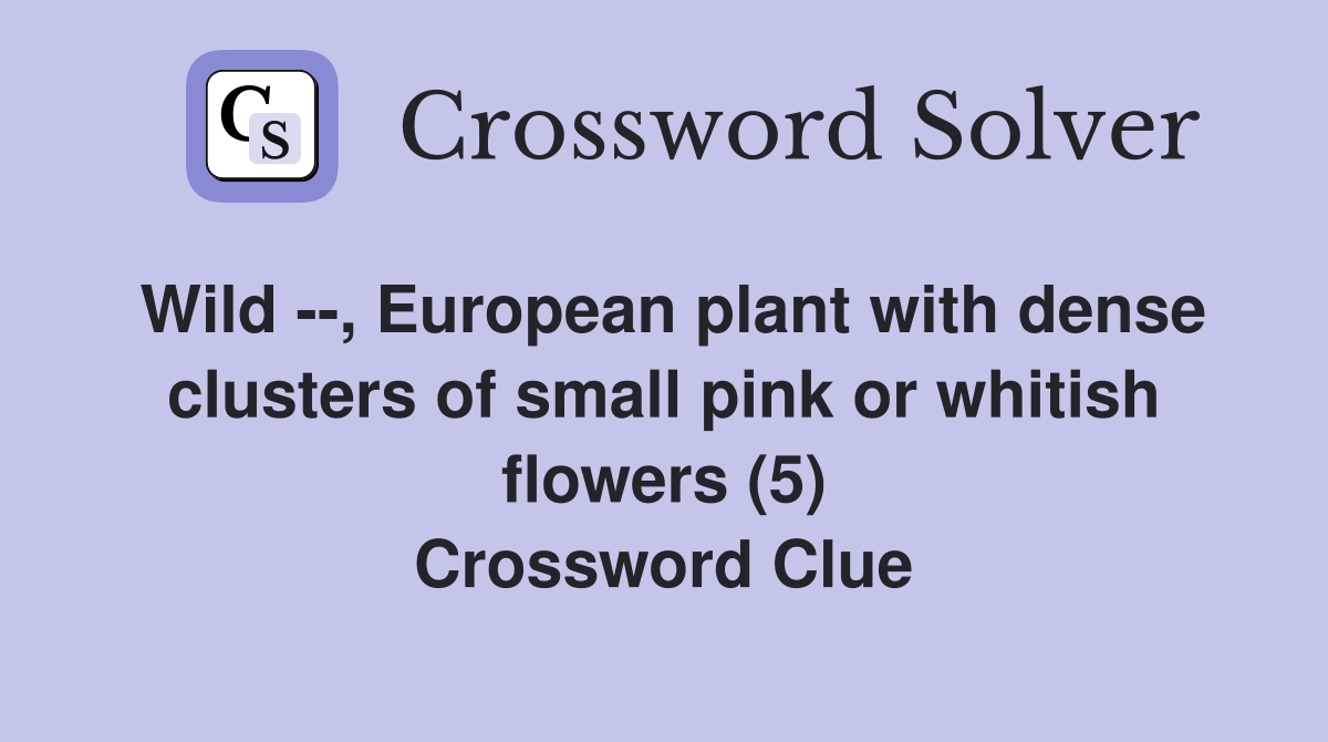 Wild --, European plant with dense clusters of small pink or whitish flowers (5) Crossword Clue