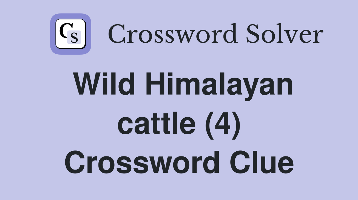 Wild Himalayan cattle (4) Crossword Clue