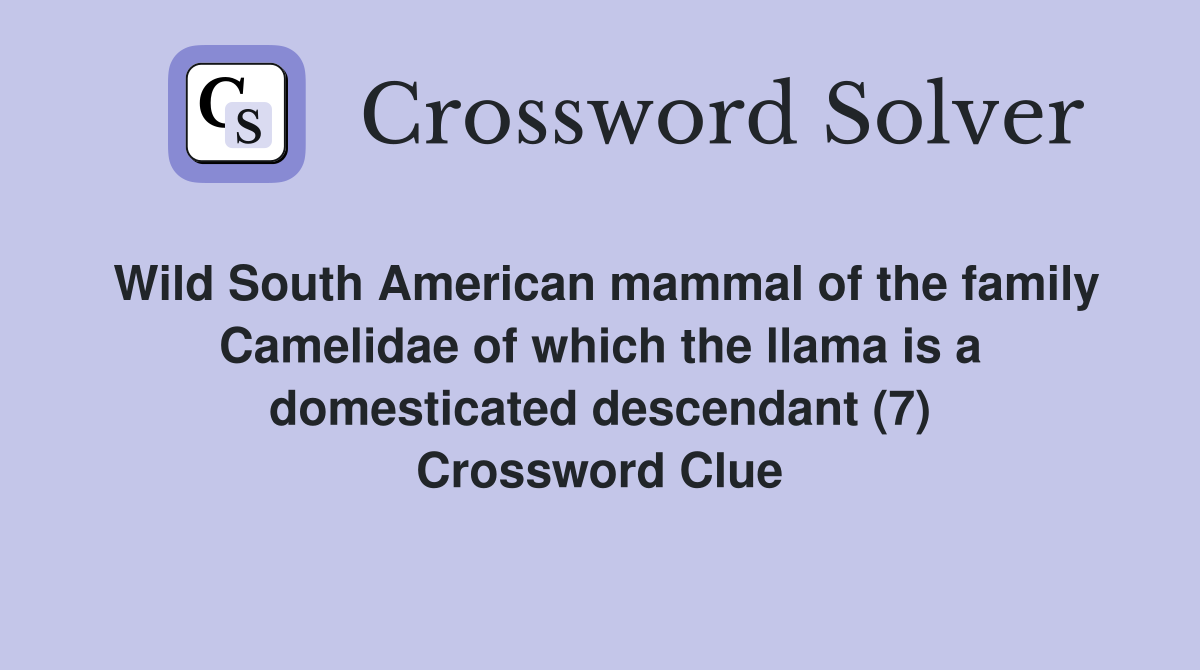 Wild South American mammal of the family Camelidae of which the llama is a domesticated descendant (7) Crossword Clue