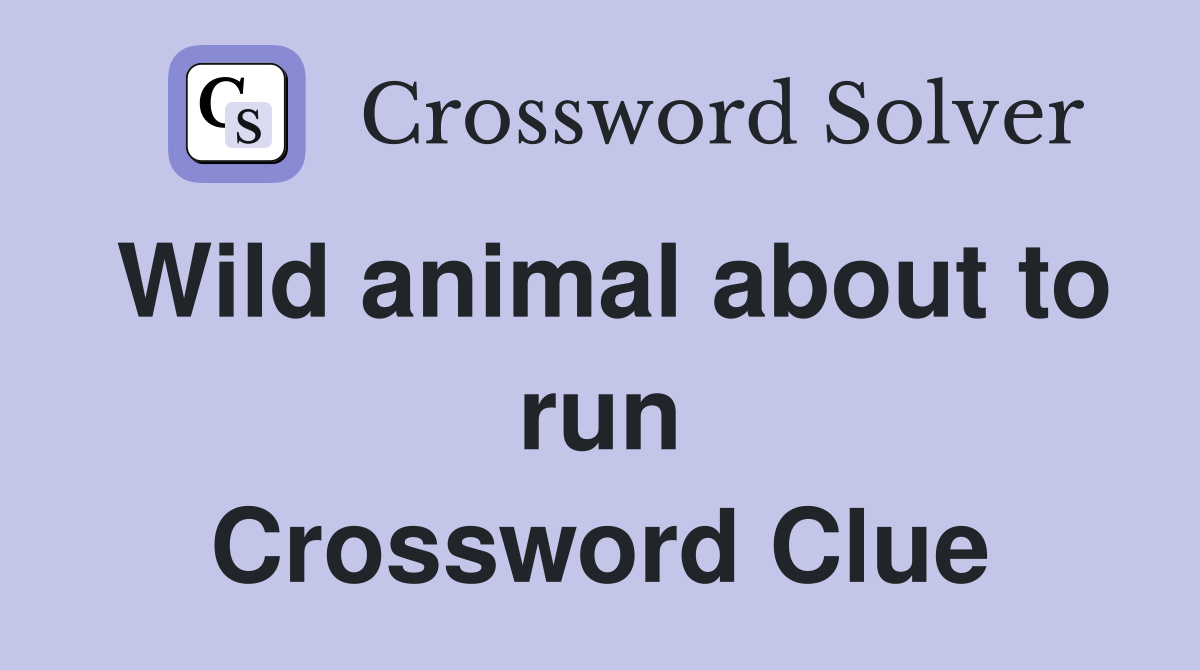 Wild animal about to run Crossword Clue