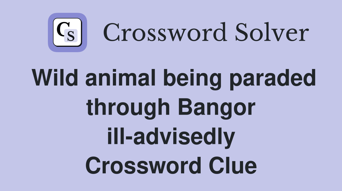 Wild animal being paraded through Bangor ill-advisedly Crossword Clue