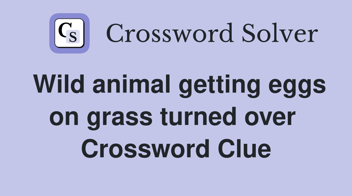 Wild animal getting eggs on grass turned over  Crossword Clue
