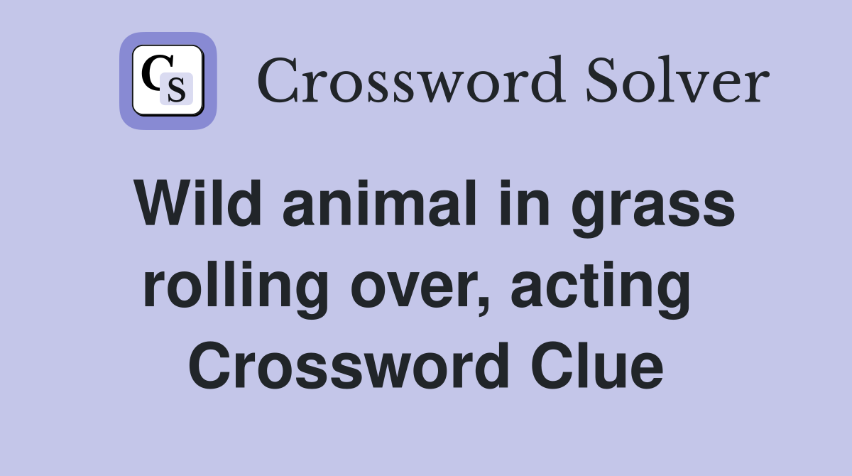 Wild animal in grass rolling over, acting  Crossword Clue