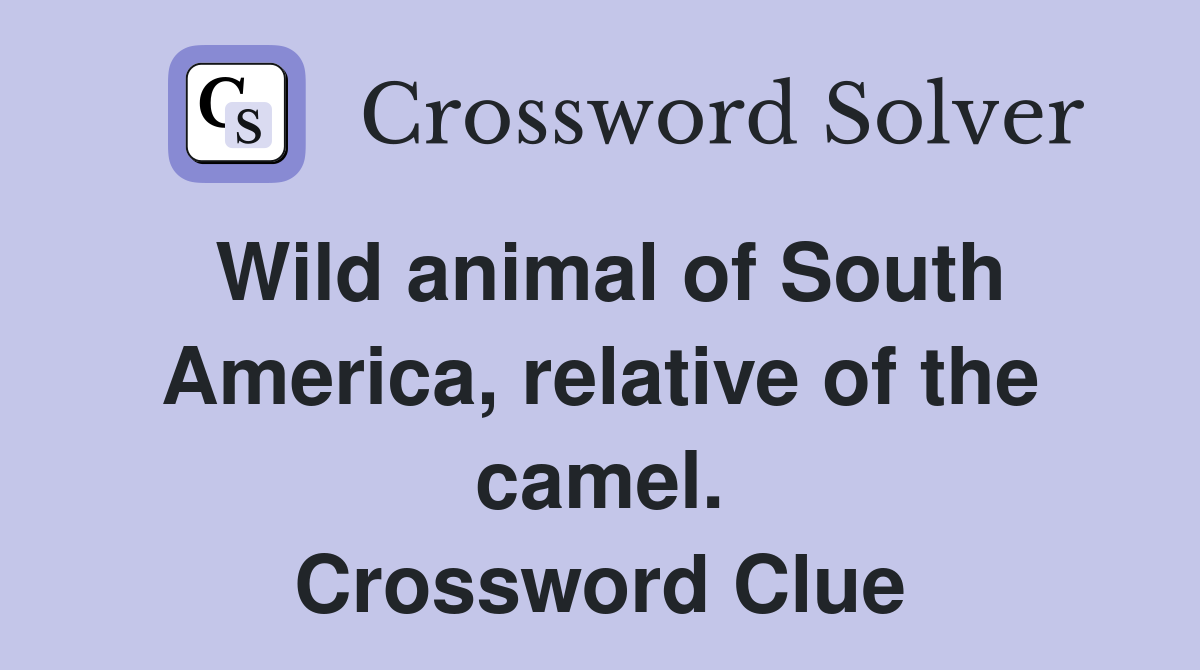Wild animal of South America, relative of the camel. Crossword Clue