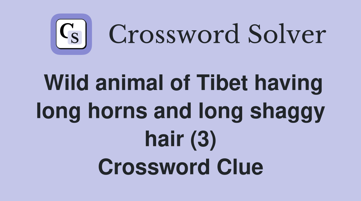 Wild animal of Tibet having long horns and long shaggy hair (3) Crossword Clue