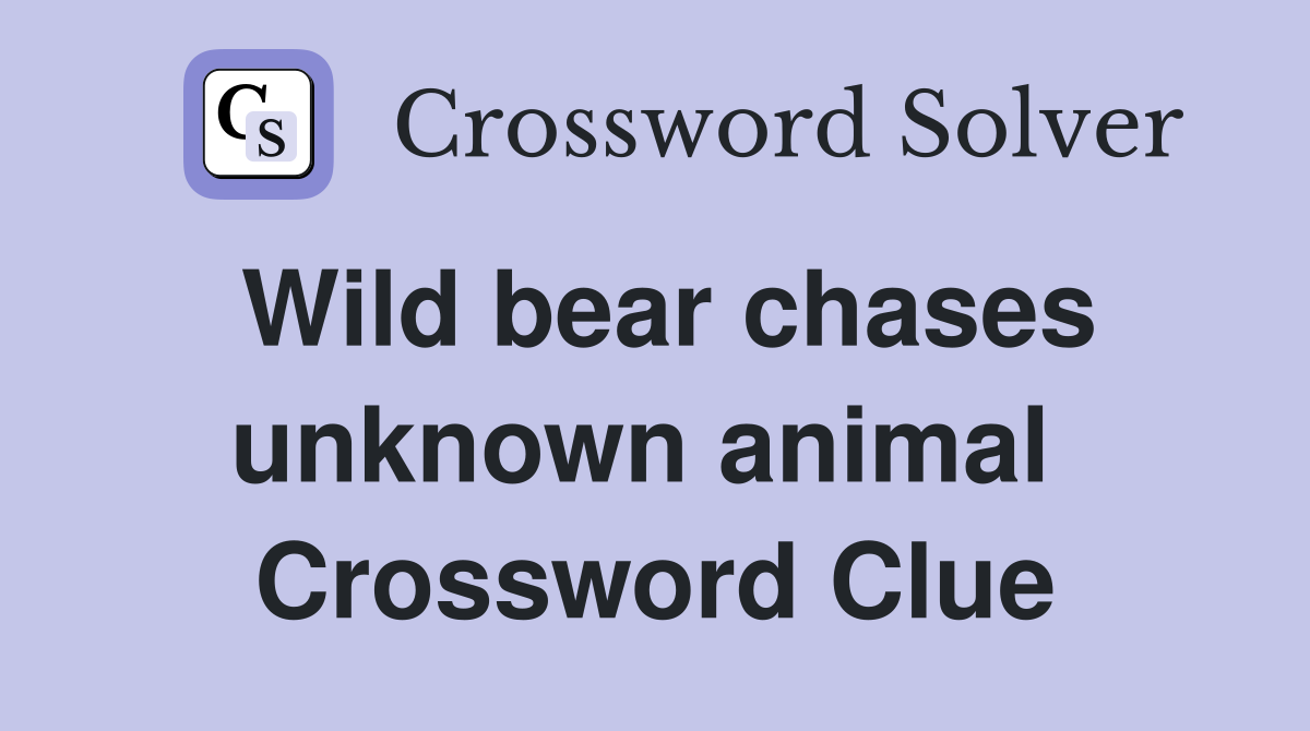 Wild bear chases unknown animal  Crossword Clue