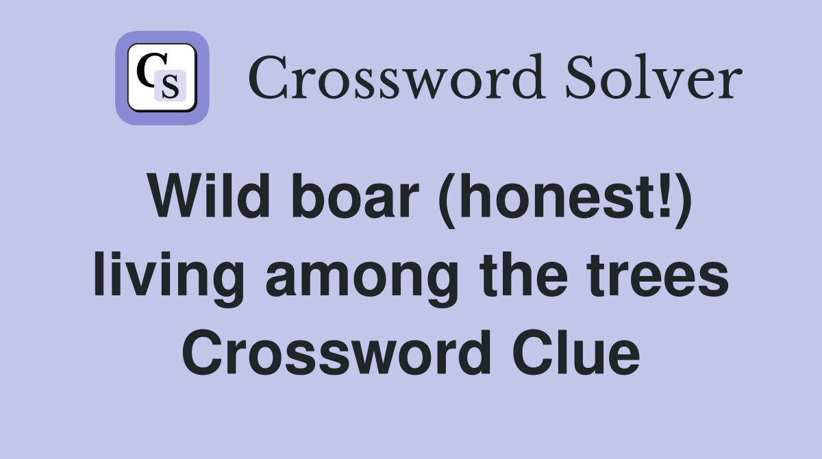 Wild boar (honest!) living among the trees Crossword Clue