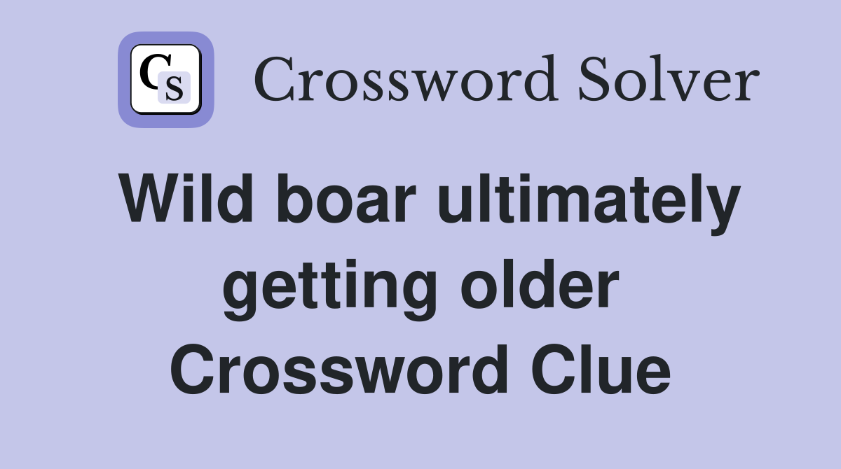 Wild boar ultimately getting older Crossword Clue