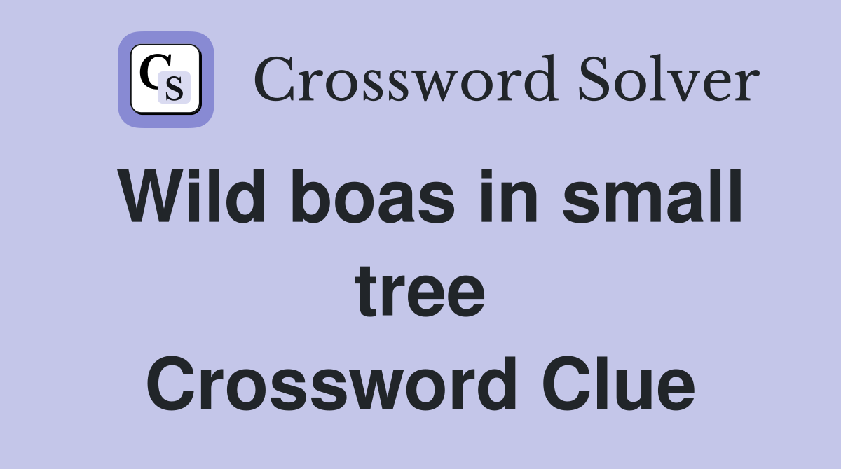 Wild boas in small tree Crossword Clue