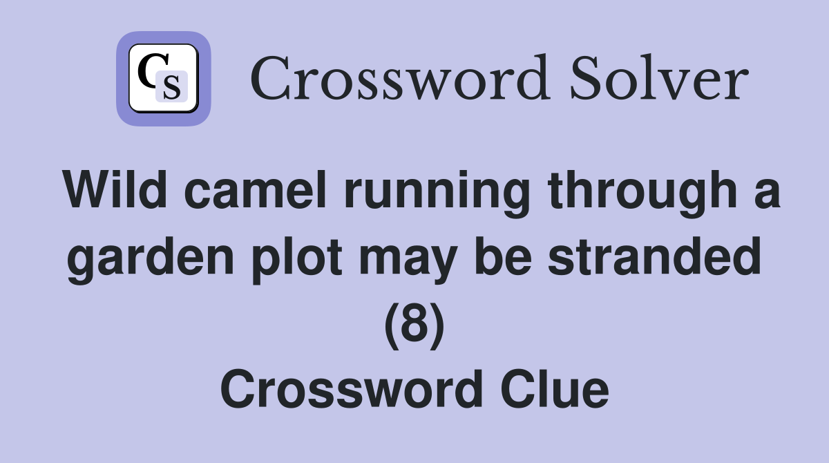 Wild camel running through a garden plot may be stranded (8) Crossword Clue