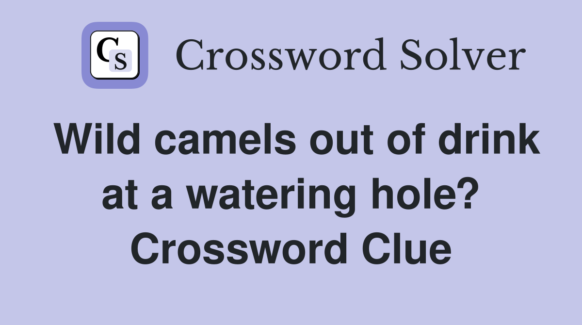 Wild camels out of drink at a watering hole? Crossword Clue