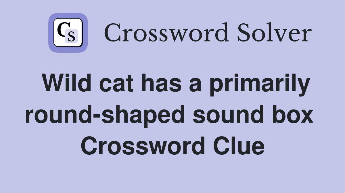 Wild cat has a primarily round-shaped sound box  Crossword Clue