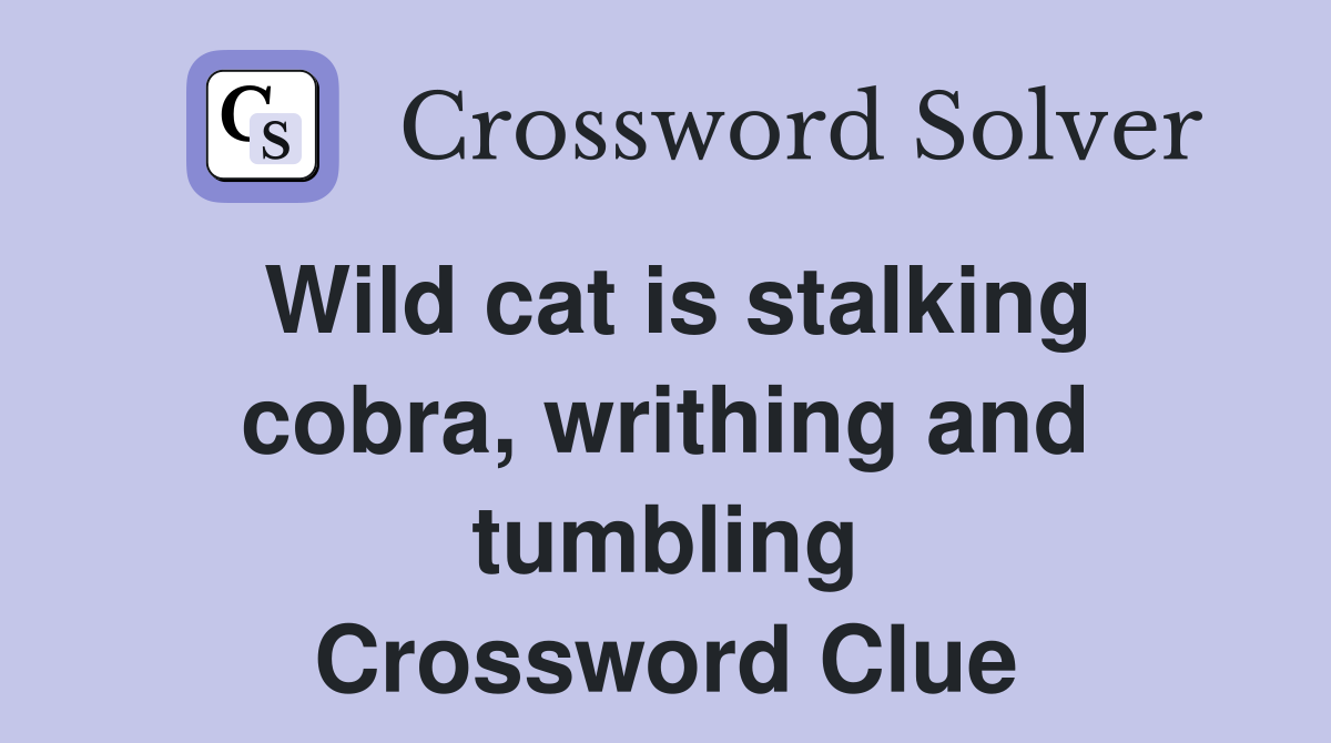 Wild cat is stalking cobra, writhing and tumbling Crossword Clue