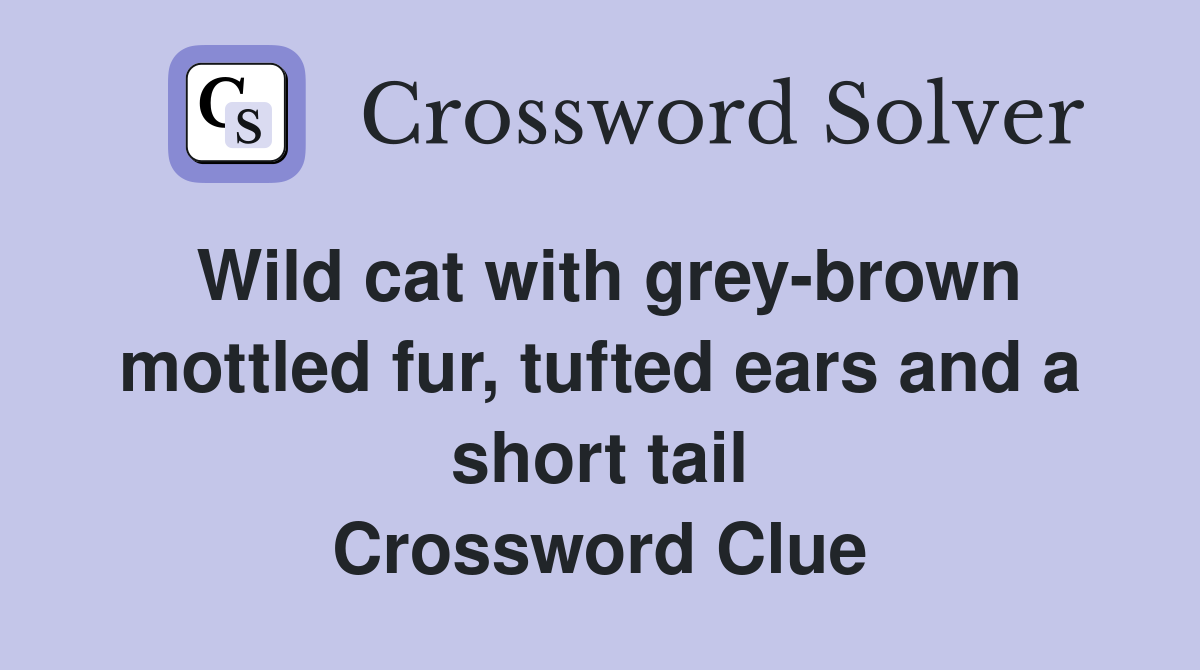 Wild cat with grey-brown mottled fur, tufted ears and a short tail Crossword Clue