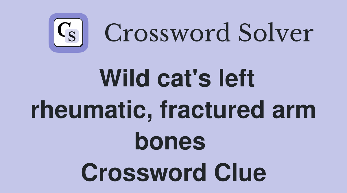 Wild cat's left rheumatic, fractured arm bones  Crossword Clue