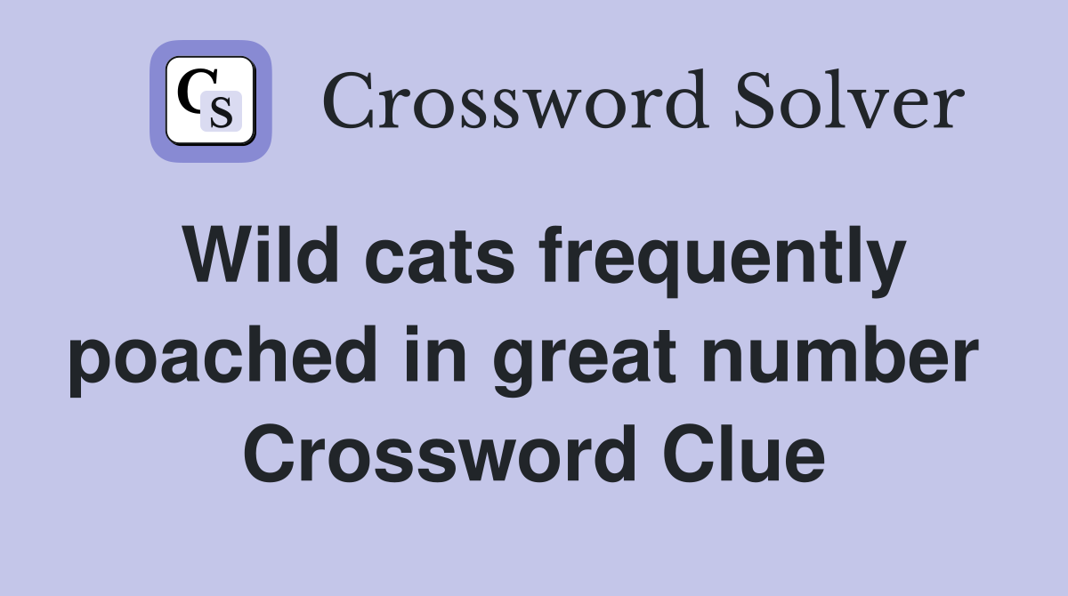 Wild cats frequently poached in great number  Crossword Clue