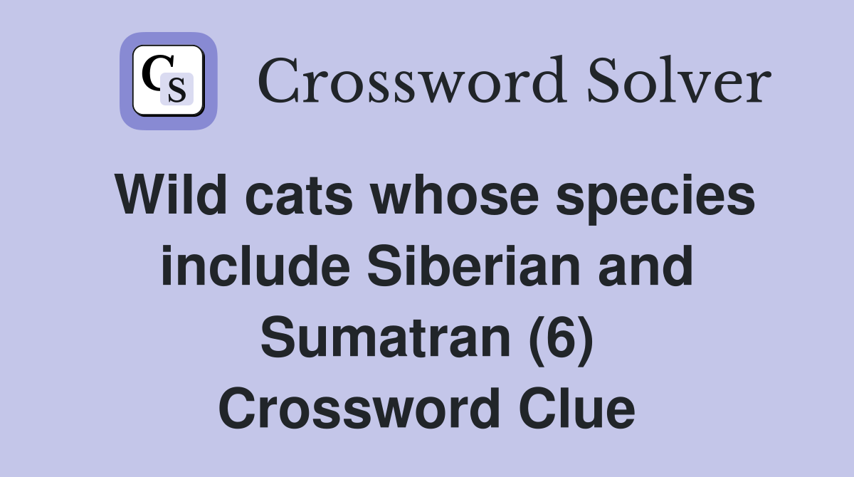 Wild cats whose species include Siberian and Sumatran (6) Crossword Clue