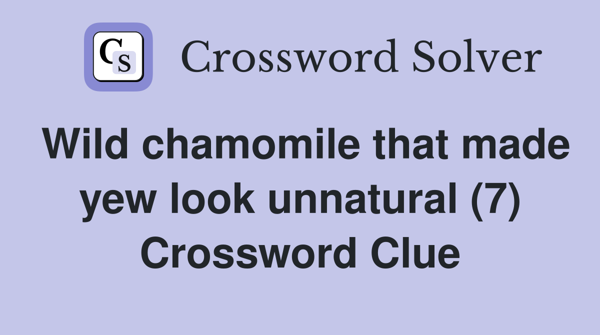 Wild chamomile that made yew look unnatural (7) Crossword Clue