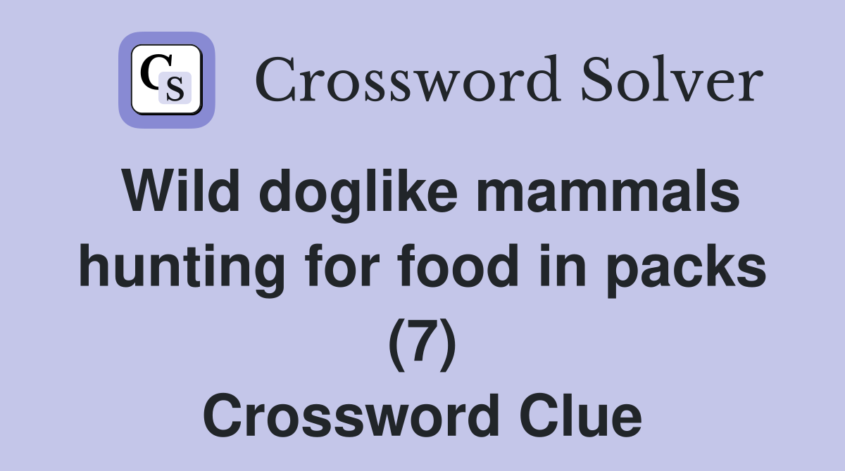 Wild doglike mammals hunting for food in packs (7) Crossword Clue