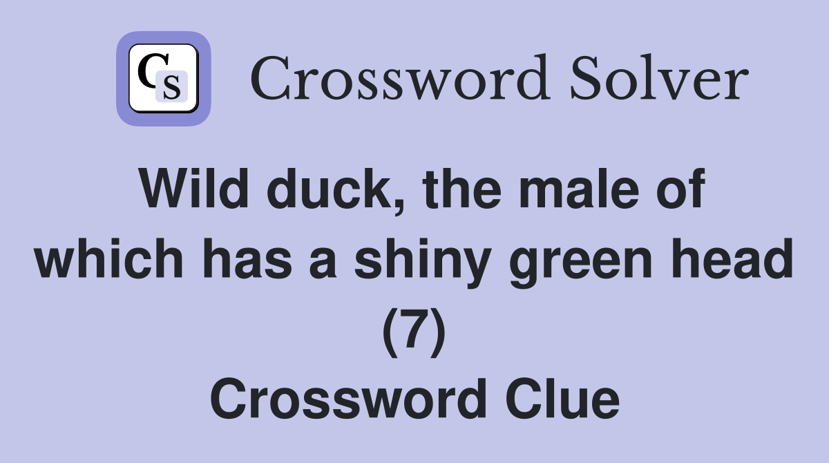 Wild duck, the male of which has a shiny green head (7) Crossword Clue
