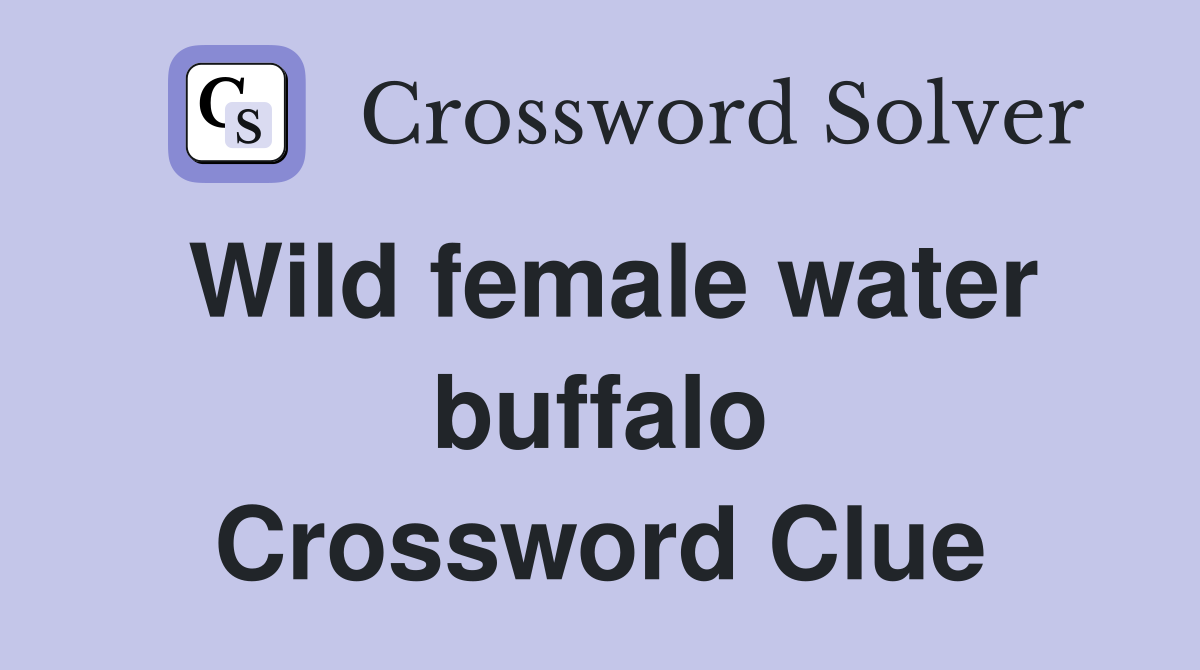 Wild female water buffalo Crossword Clue