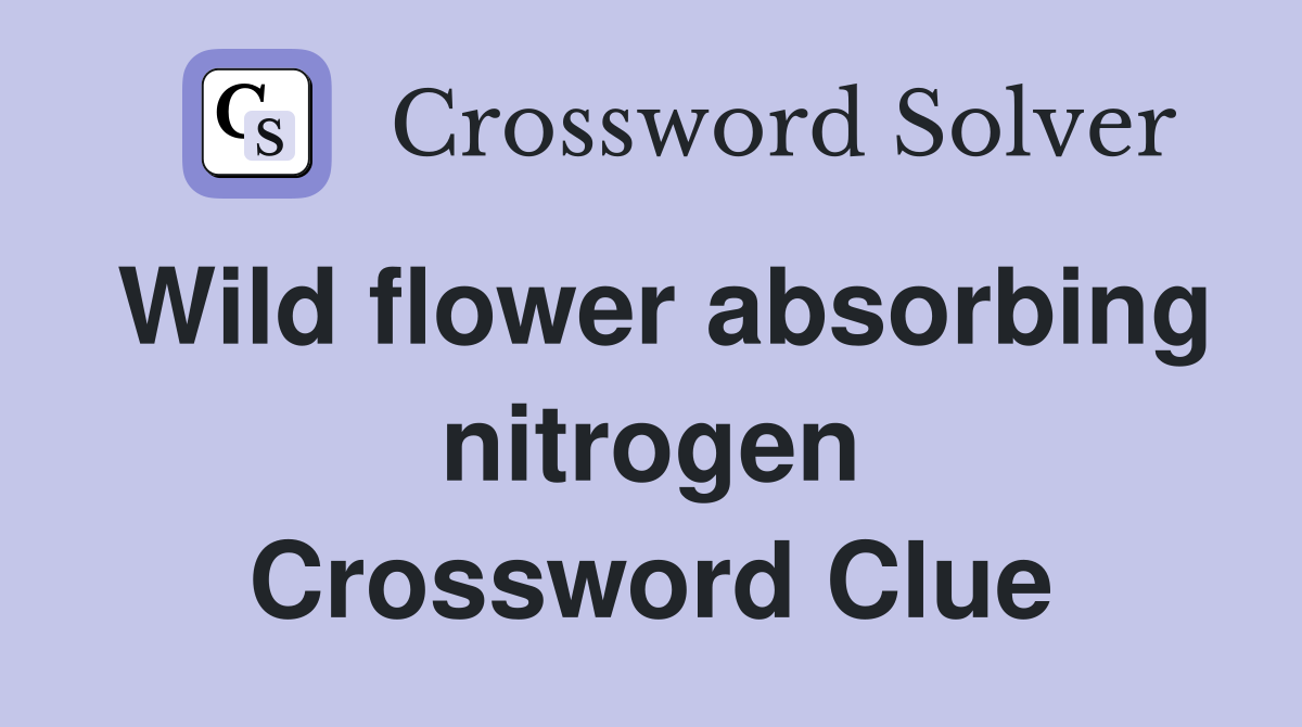 Wild flower absorbing nitrogen Crossword Clue