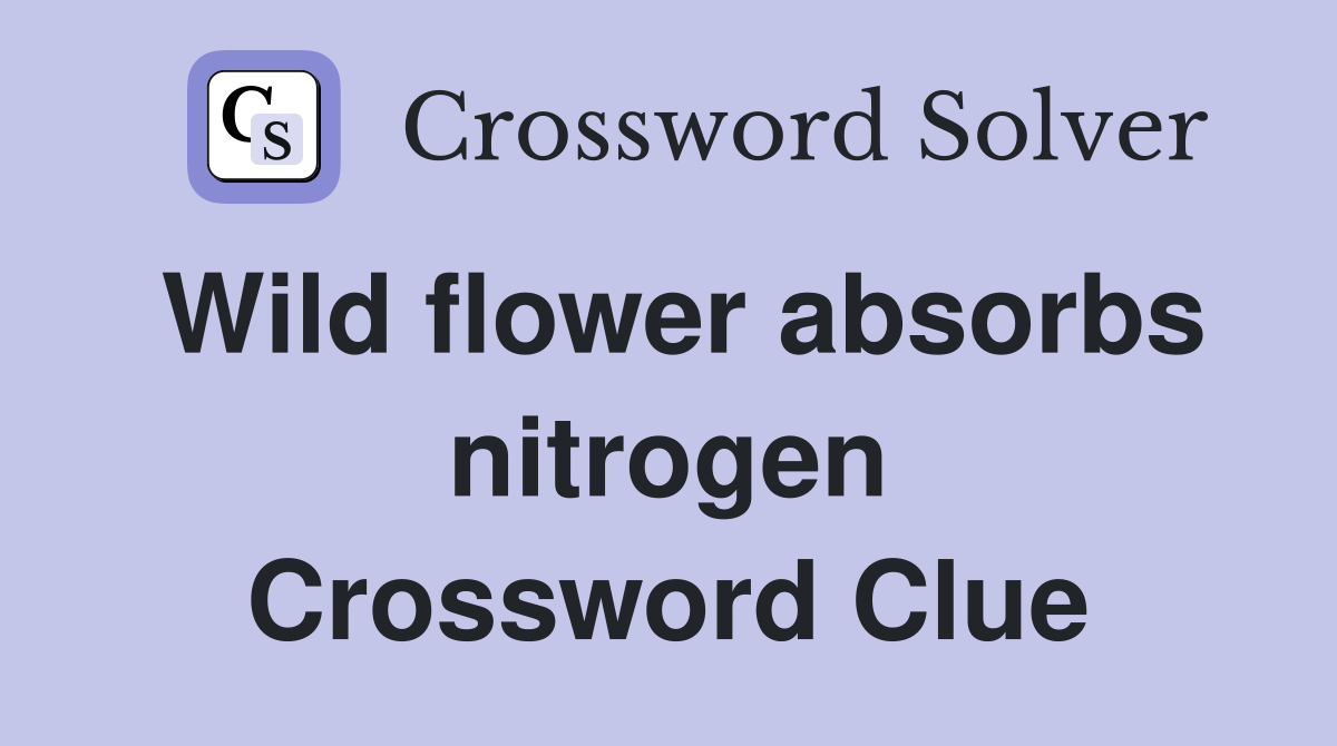 Wild flower absorbs nitrogen Crossword Clue