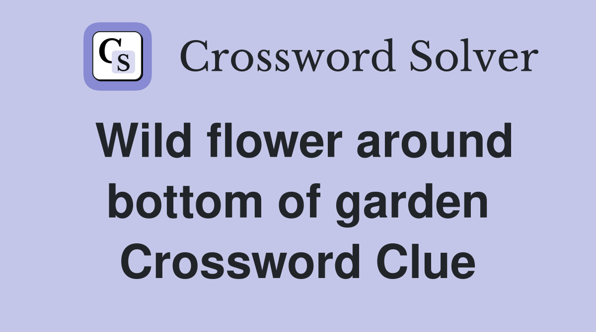 Wild flower around bottom of garden Crossword Clue