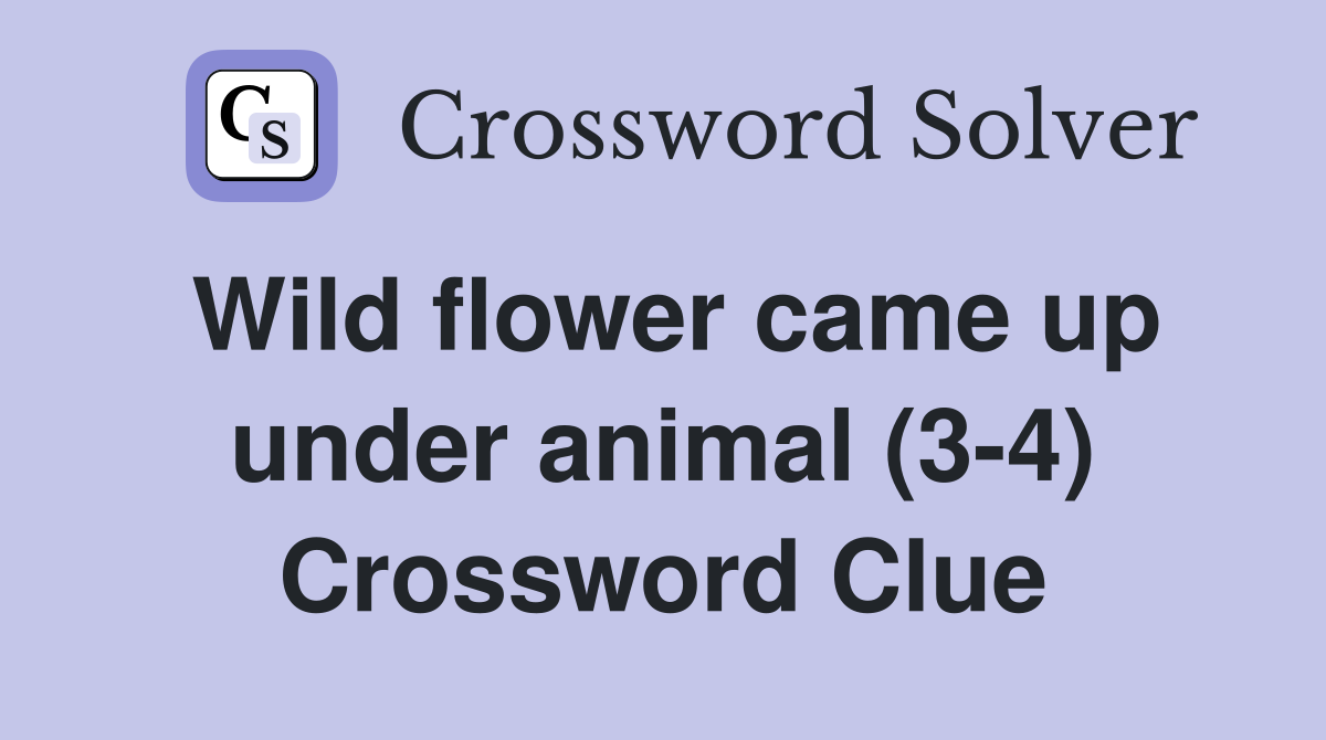 Wild flower came up under animal (3-4) Crossword Clue