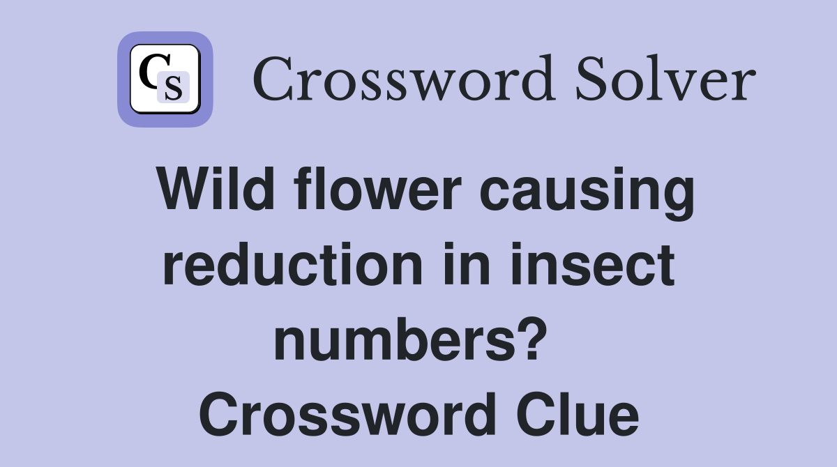 Wild flower causing reduction in insect numbers?  Crossword Clue