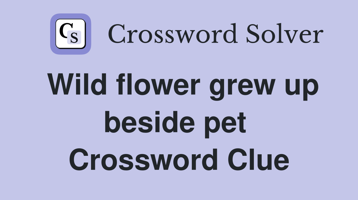 Wild flower grew up beside pet  Crossword Clue