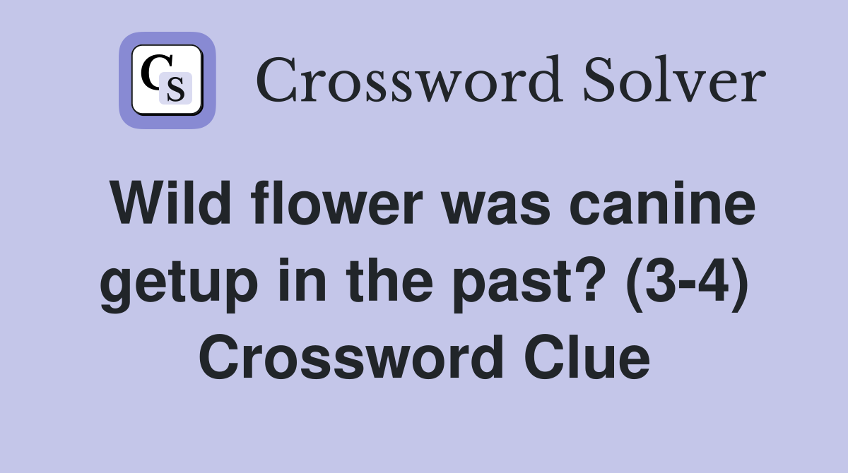 Wild flower was canine getup in the past? (3-4) Crossword Clue