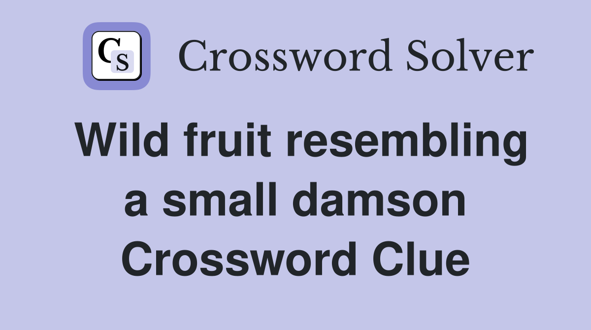 Wild fruit resembling a small damson Crossword Clue