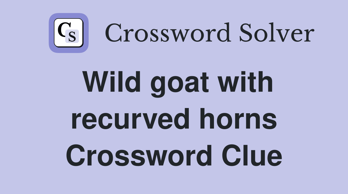 Wild goat with recurved horns Crossword Clue