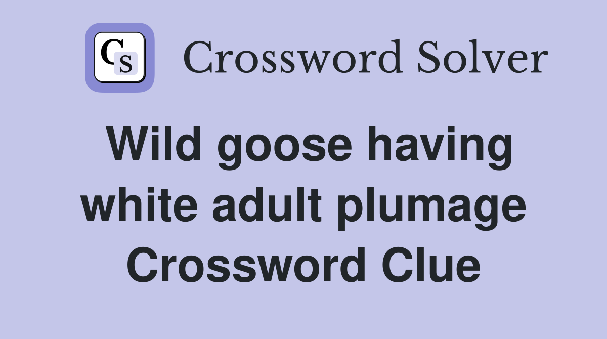 Wild goose having white adult plumage Crossword Clue