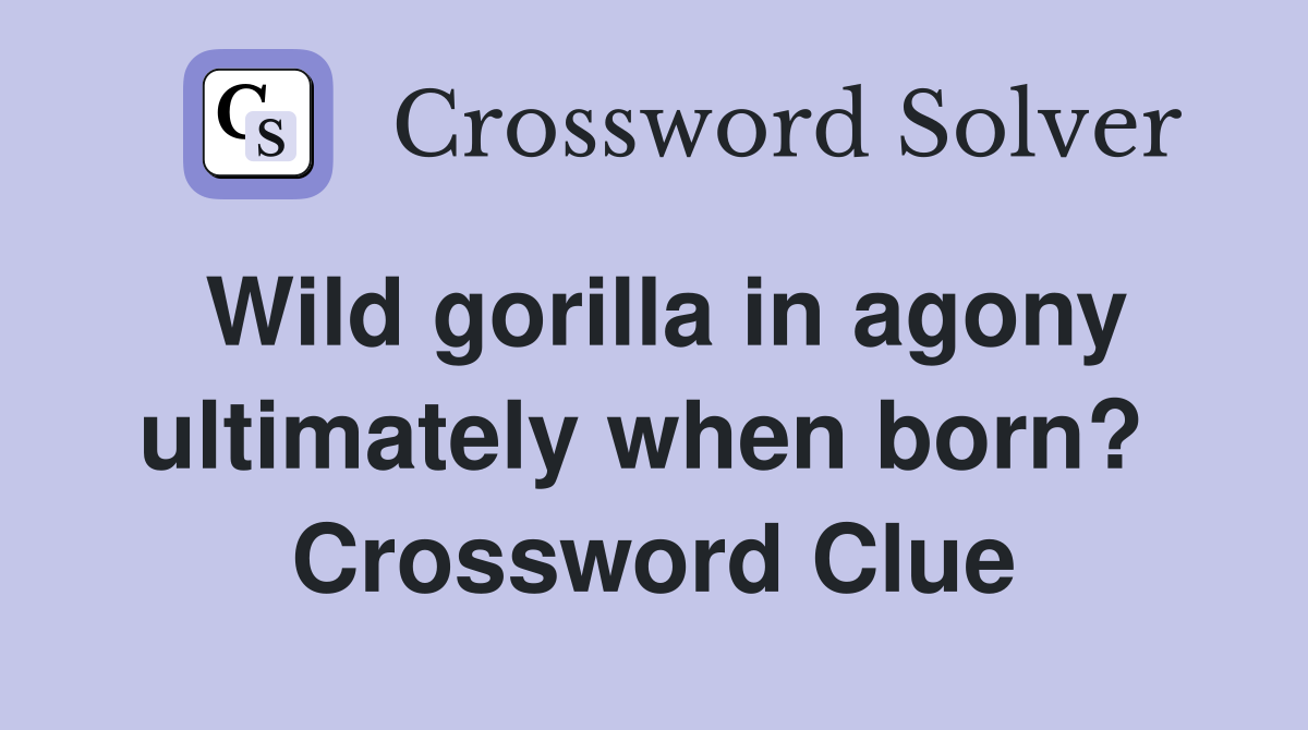 Wild gorilla in agony ultimately when born?  Crossword Clue
